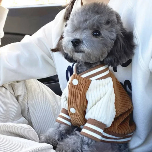 Guangdong Cute Embroidered Pet Baseball Jacket For Dogs And Cats