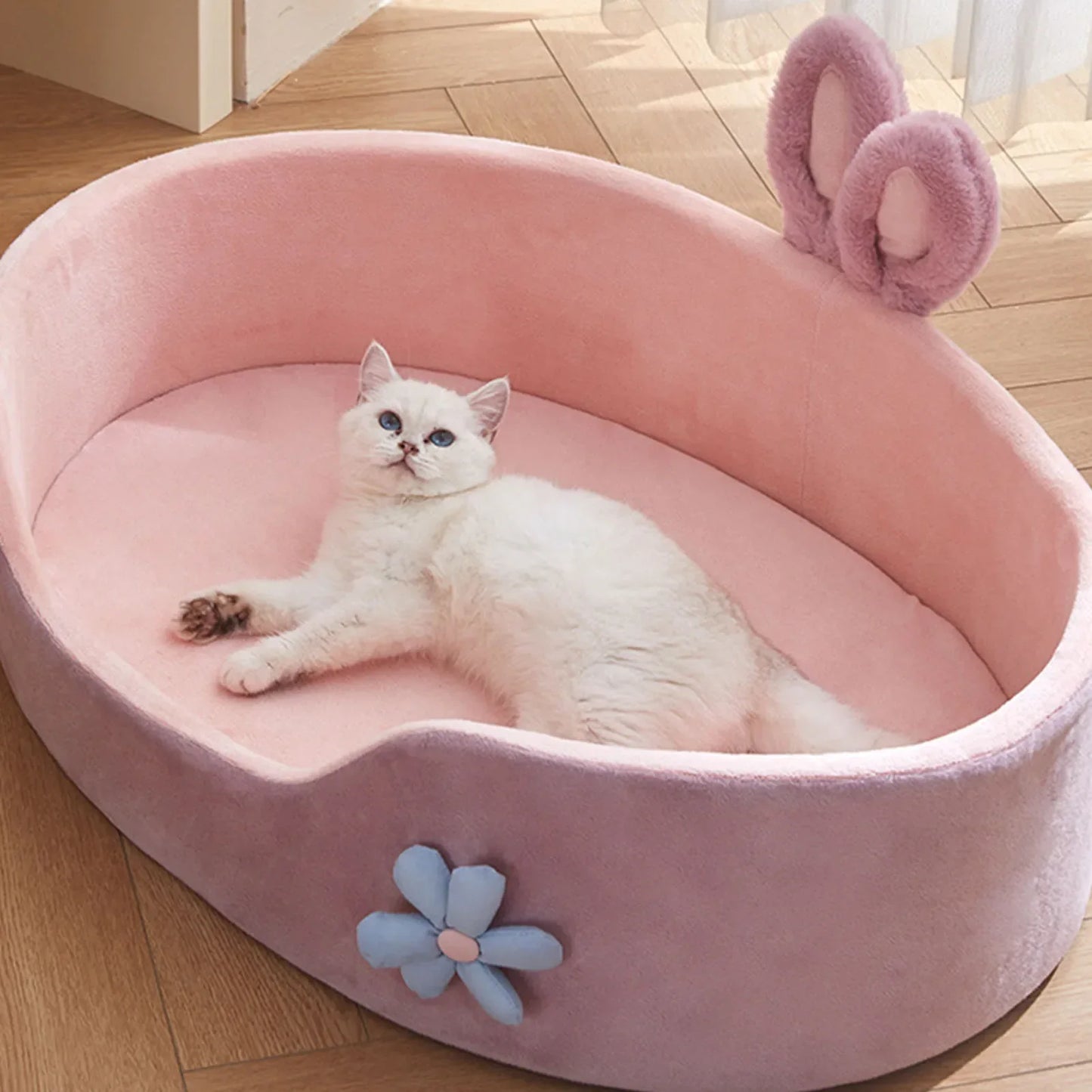 Zhejiang Premium Pet Bed MachineWashable OdorResistant AllSeasonDurable Cat Dog Mat