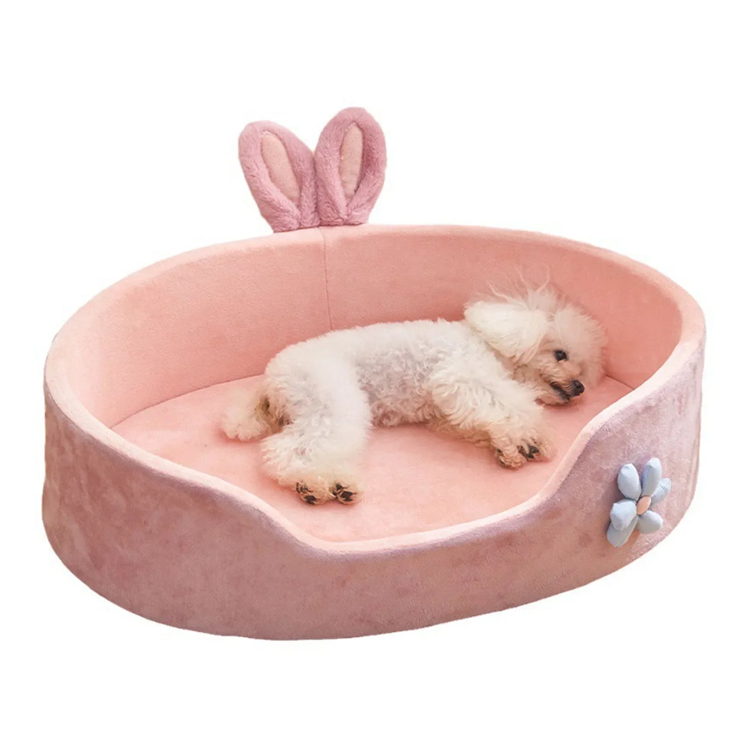 Zhejiang Premium Pet Bed MachineWashable OdorResistant AllSeasonDurable Cat Dog Mat