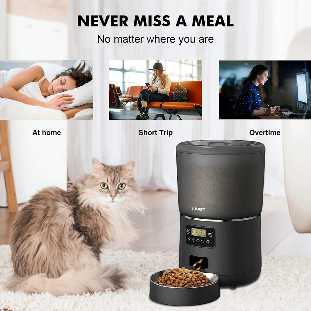 Smart Pet Feeder With Stainless Bowl Timed Feeding For Pets