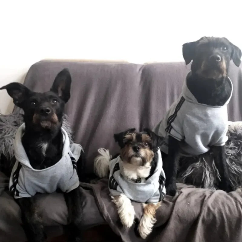 CAIBAN Autumn Winter Warm Dog Hooded Coat For Dogs