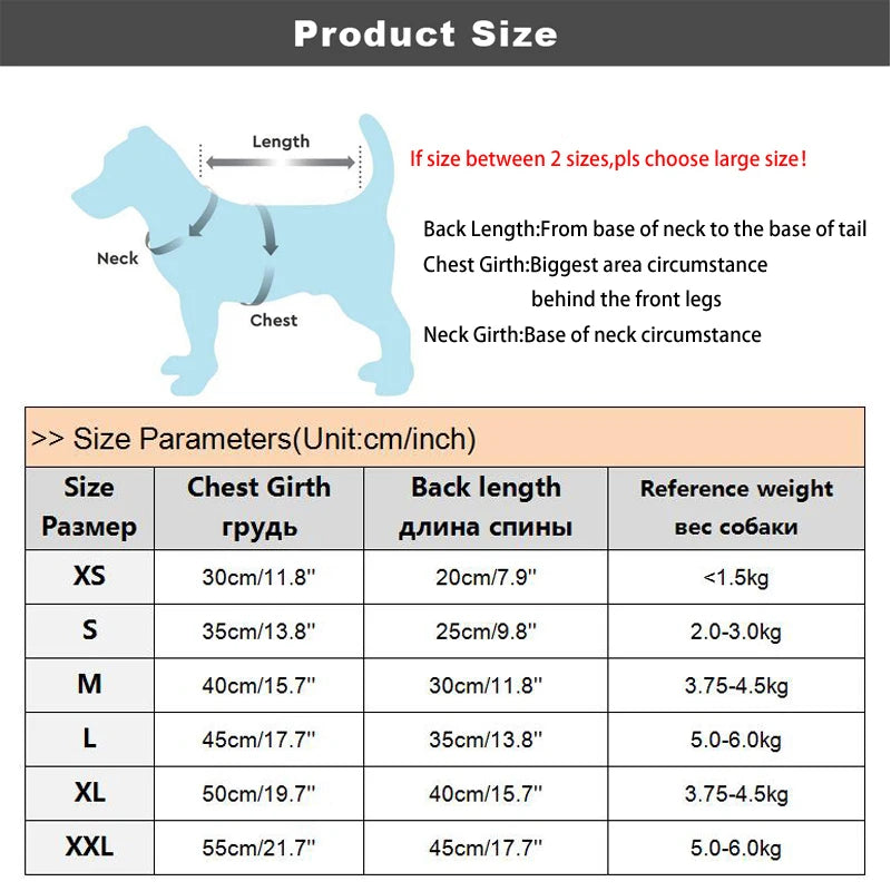 Miss Doggy Christmas Pet Coat For Dogs And Cats Festive