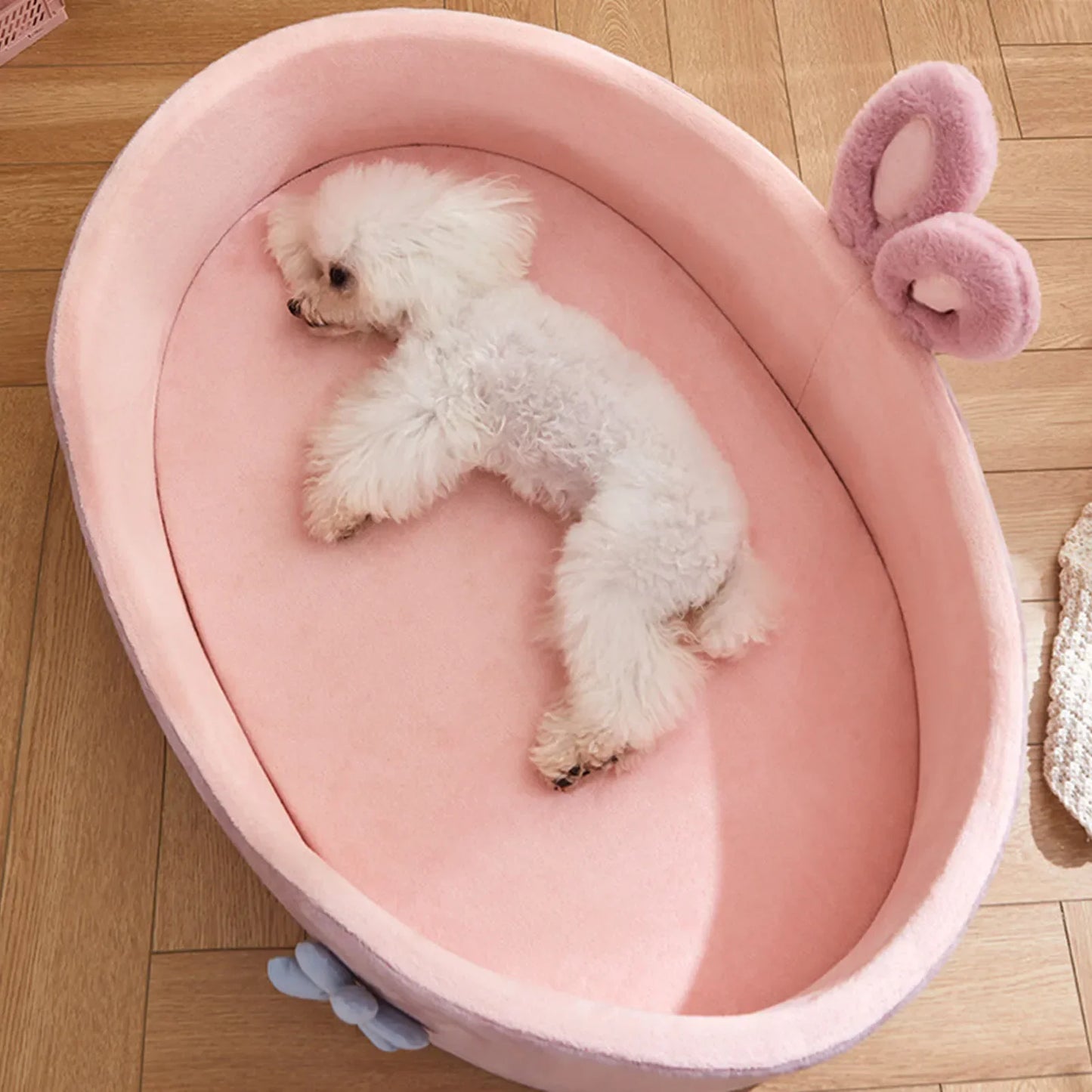 Zhejiang Premium Pet Bed MachineWashable OdorResistant AllSeasonDurable Cat Dog Mat