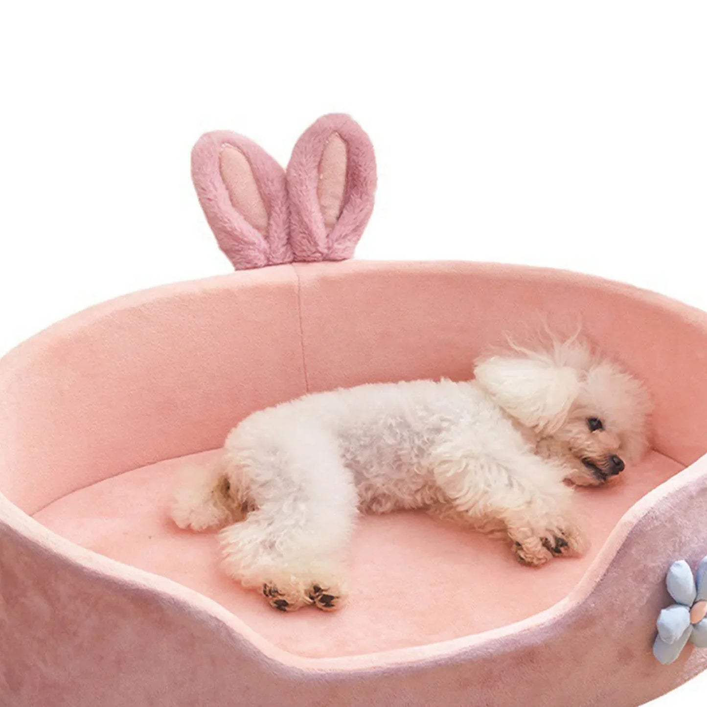 Zhejiang Premium Pet Bed MachineWashable OdorResistant AllSeasonDurable Cat Dog Mat