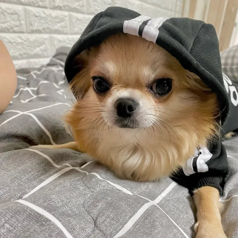 CAIBAN Autumn Winter Warm Dog Hooded Coat For Dogs