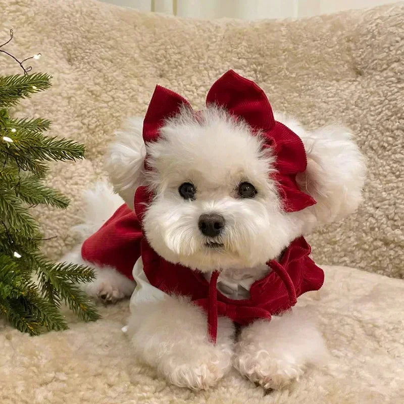 Hubei Winter Dog Dress Bowknot Princess Outfit Set Pet