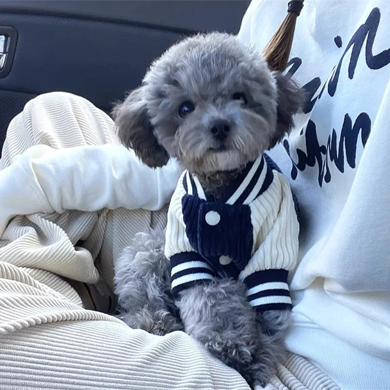 Guangdong Cute Embroidered Pet Baseball Jacket For Dogs And Cats